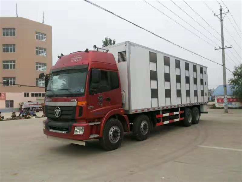 前四后八運(yùn)豬車